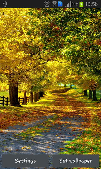 Download livewallpaper Autumn by Best wallpapers for Android.