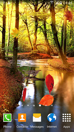 Download livewallpaper Autumn forest for Android.
