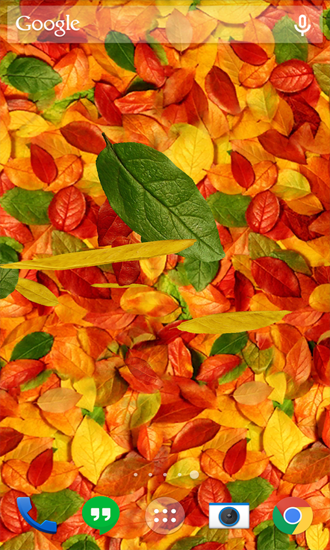 Download livewallpaper Autumn Leaves for Android.