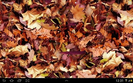 Download Autumn leaves 3D free livewallpaper for Android phone and tablet.