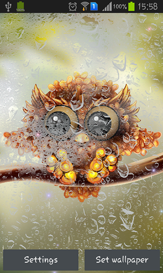 Download livewallpaper Autumn little owl for Android.