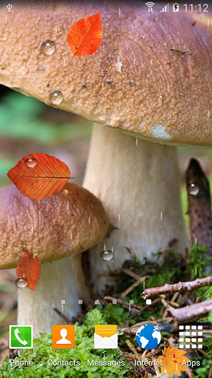 Download livewallpaper Autumn mushrooms for Android.