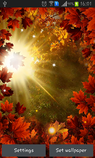Download livewallpaper Autumn sun for Android.