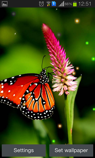 Download livewallpaper Best butterfly for Android.