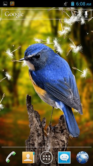 Download livewallpaper Birds 3D for Android.