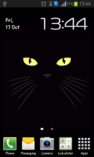 Download livewallpaper Black cat for Android.