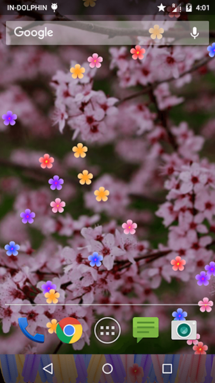 Download livewallpaper Blossom for Android.