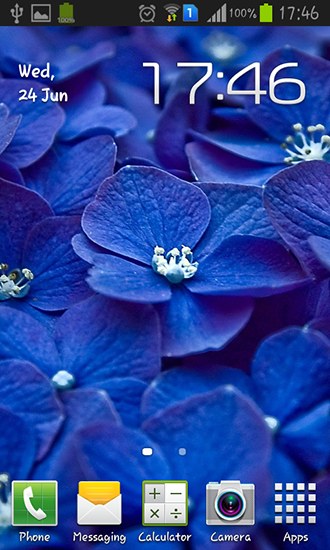 Download Blue flowers free livewallpaper for Android 4.2.1 phone and tablet.