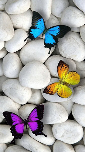 Butterflies by Happy live wallpapers apk - free download.