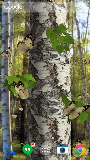 Download Butterflies 3D free Landscape livewallpaper for Android phone and tablet.
