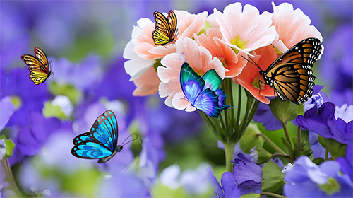 Butterfly 3D by taptechy apk - free download.