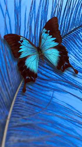 Butterfly by HQ Awesome Live Wallpaper apk - free download.