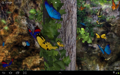 Download livewallpaper Butterfly 3D for Android.