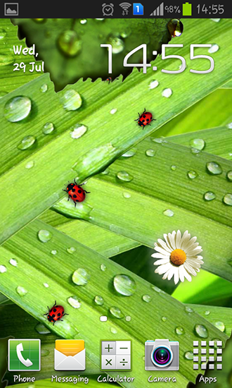 Download livewallpaper Camomiles and ladybugs for Android.