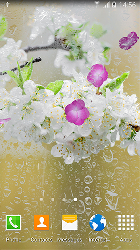 Cherry in blossom by BlackBird Wallpapers apk - free download.