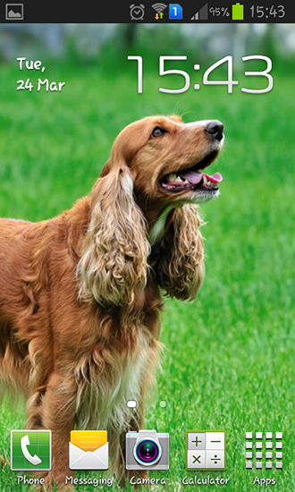 Download livewallpaper Cocker spaniel for Android.