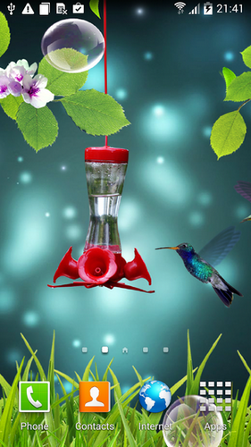 Download livewallpaper Colibri for Android.