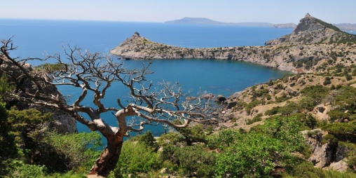 Download Crimea free Landscape livewallpaper for Android phone and tablet.
