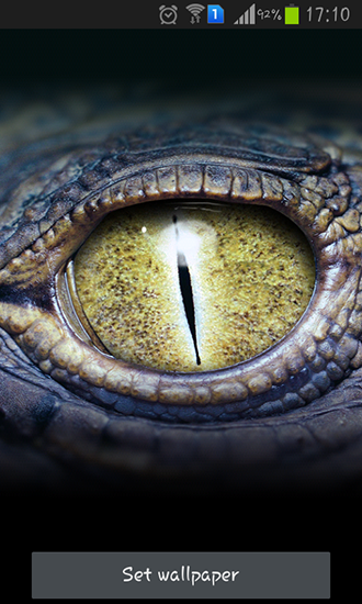 Download Crocodile eyes free Interactive livewallpaper for Android phone and tablet.