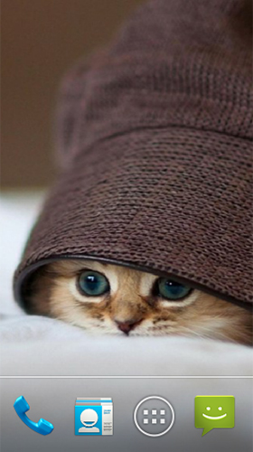 Cute cat by Premium Developer apk - free download.