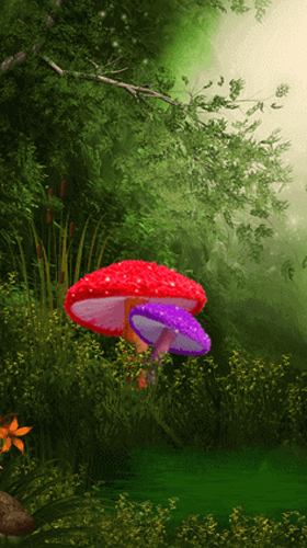 Cute mushroom apk - free download.