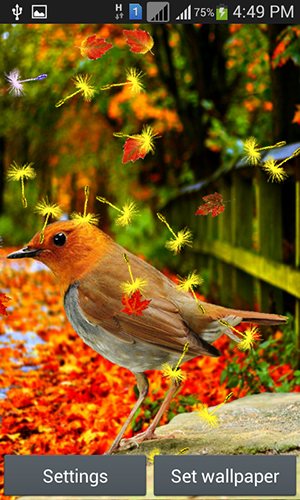 Download livewallpaper Cute birds for Android.