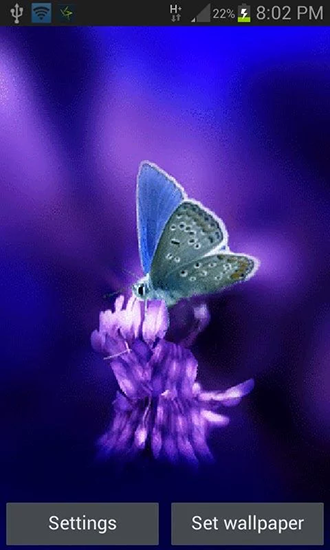 Download livewallpaper Cute butterfly by Daksh apps for Android.