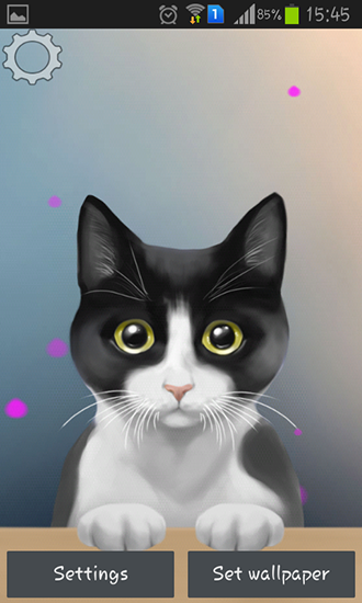 Download livewallpaper Cute kitty for Android.