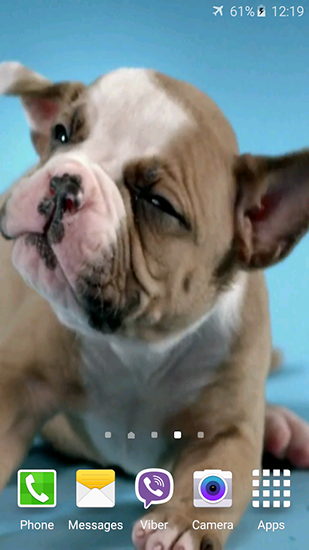 Download Cute puppies free livewallpaper for Android 4.0.4 phone and tablet.