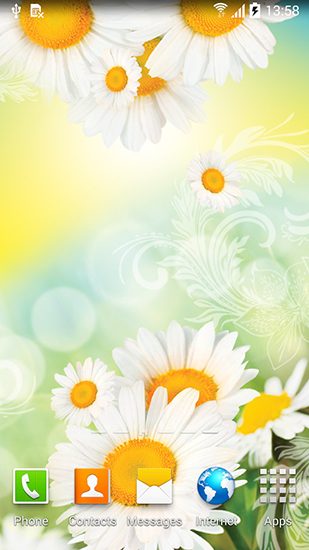 Download livewallpaper Daisies by Live wallpapers for Android.
