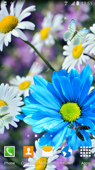 Download Daisies by Live wallpapers 3D free livewallpaper for Android 4.0.2 phone and tablet.