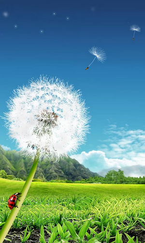 Download Dandelion free Plants livewallpaper for Android phone and tablet.