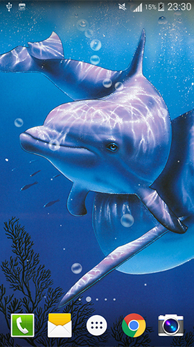 Dolphin by Live wallpaper HD apk - free download.