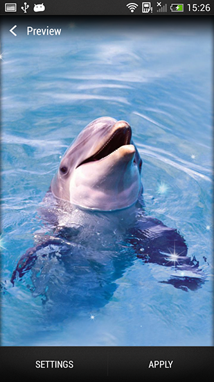 Download livewallpaper Dolphin for Android.