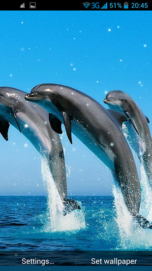 Download livewallpaper Dolphin 3D for Android.