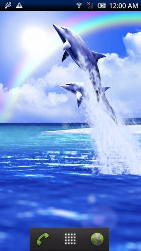 Download Dolphin blue free livewallpaper for Android 4.1 phone and tablet.