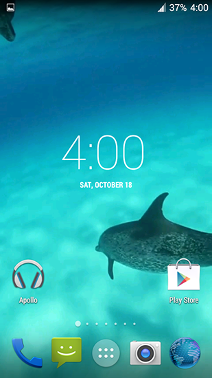 Download Dolphins HD free Animals livewallpaper for Android phone and tablet.