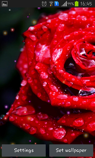 Download livewallpaper Drops and roses for Android.