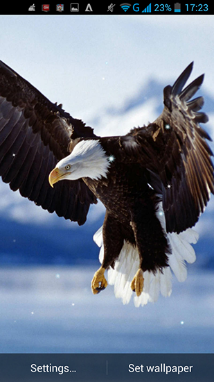 Download livewallpaper Eagle for Android.