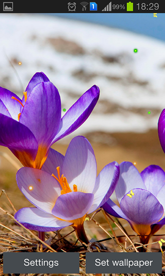 Download livewallpaper Early spring: Nature for Android.