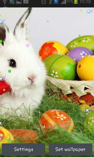 Download Easter bunnies 2015 free Interactive livewallpaper for Android phone and tablet.