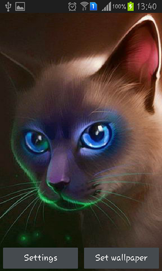Download livewallpaper Egyptian cat for Android.