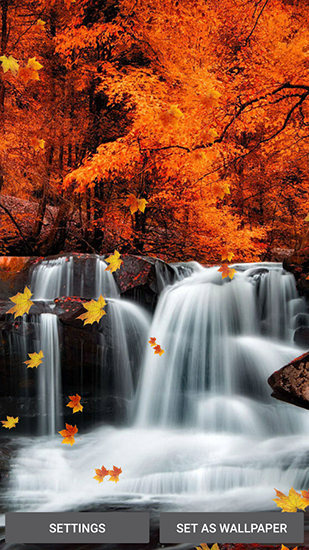 Download livewallpaper Falling leaves for Android.