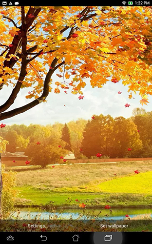 Download livewallpaper Falling leaves by Top Live Wallpapers for Android.