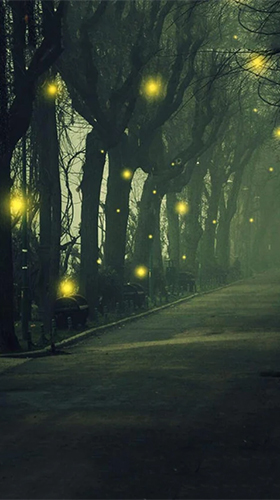 Fireflies by Jango LWP Studio apk - free download.