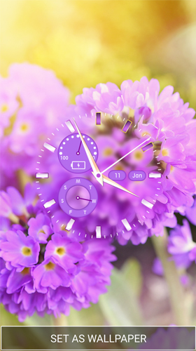 Flower clock by Thalia Spiele und Anwendungen apk - free download.
