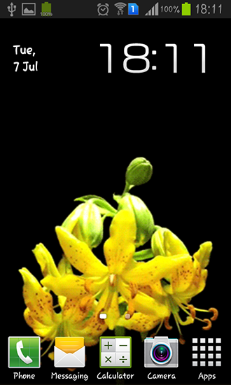 Download livewallpaper Flower bud for Android.