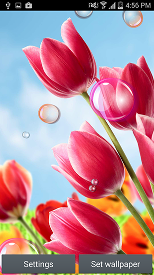Download livewallpaper Flowers 2015 for Android.
