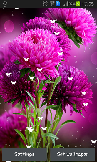 Download livewallpaper Flowers by Stechsolutions for Android.