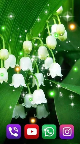 Forest lilies apk - free download.